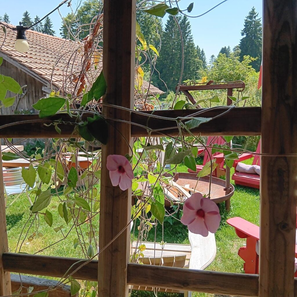 Terrasse fleurie de La Bise de Cortébert